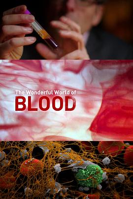 探索血液