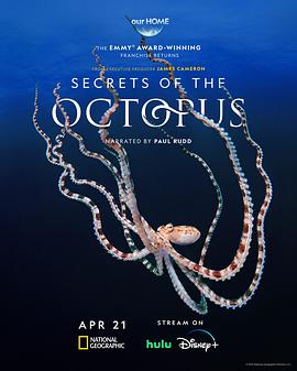 章鱼的秘密 Secrets of the Octopus
